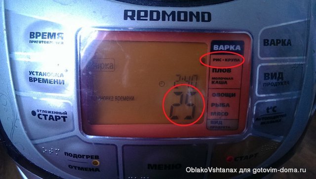 IMAG4696.jpg