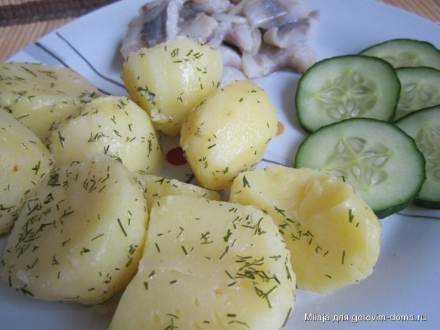 Картошка с селёдкой.JPG