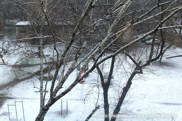IMG_7880.jpg