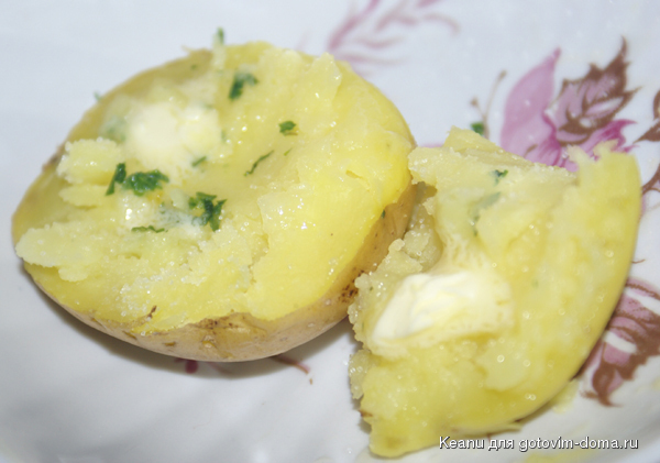 DSC08454.jpg