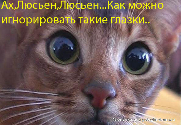 2ef0d6a1c090 copy.jpg