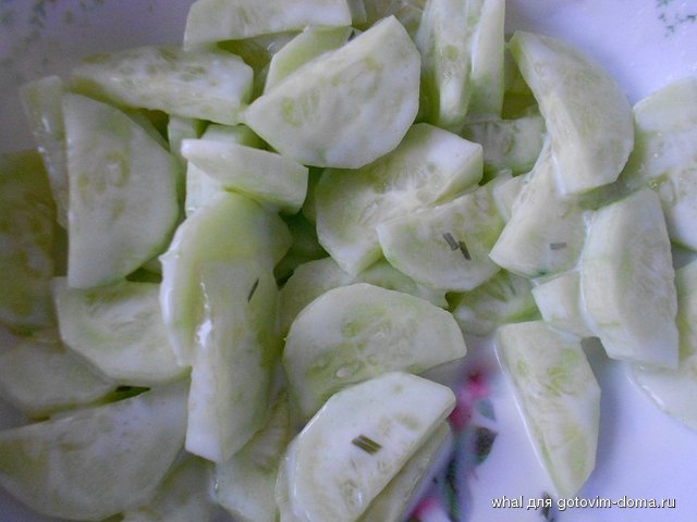 DSCN7686.JPG