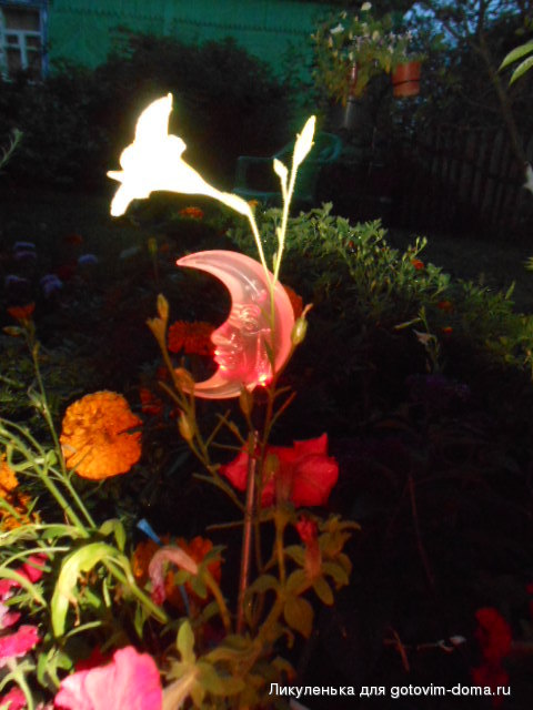DSCN1205.JPG