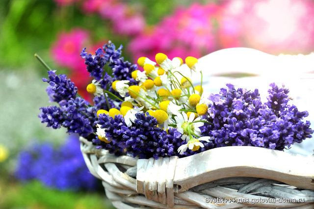 blue-flowers-05.jpg
