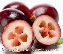 default_large_image_2-972.jpg