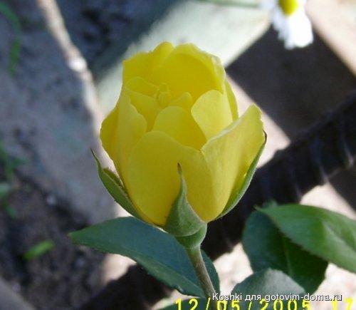S3600010.JPG