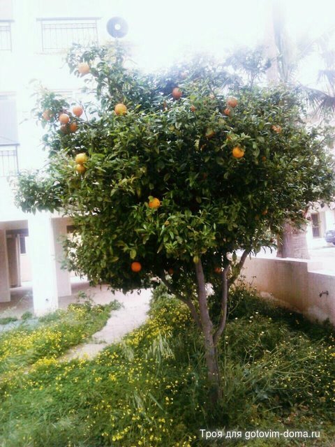 rps20170312_112140.jpg