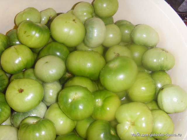 SDC12789.JPG