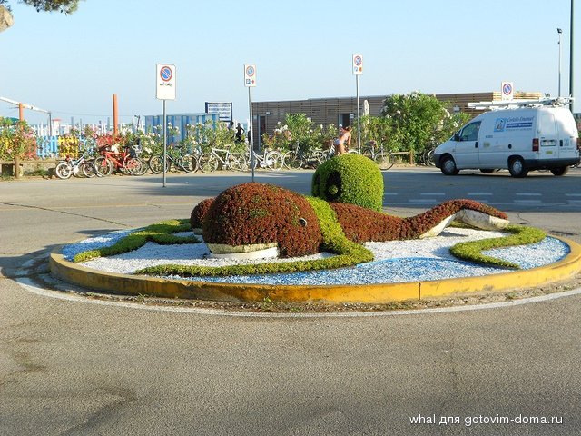 DSCN1489.JPG
