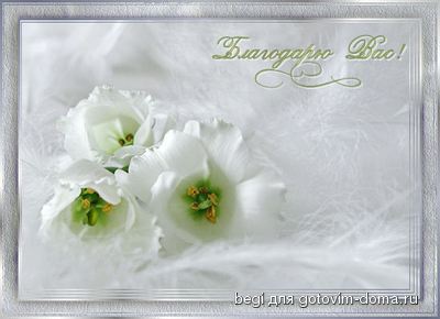 170448_blagvas.jpg