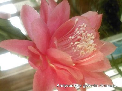 SP_A0292.jpg