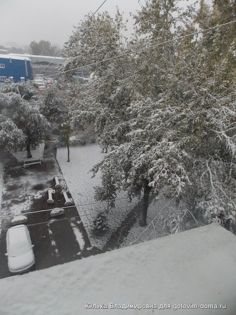 DSCN8541.jpg