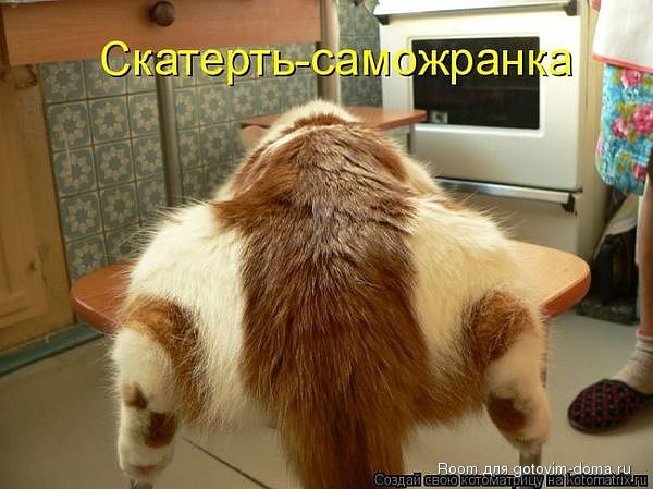 getImageCAX1NYL0.jpg