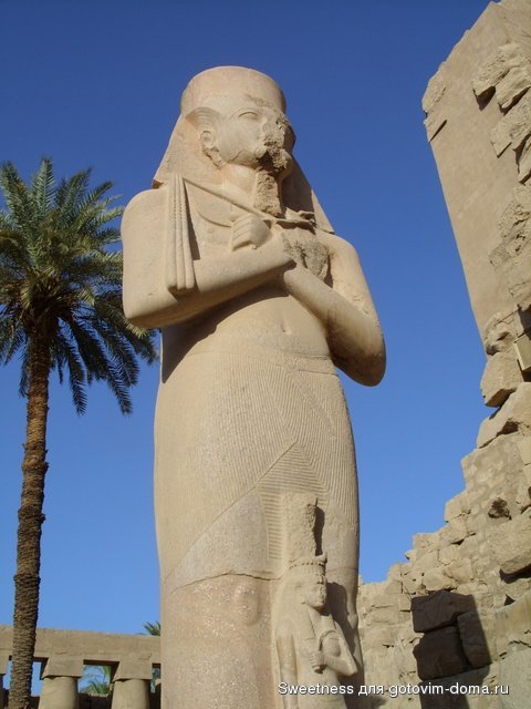SS850979.JPG