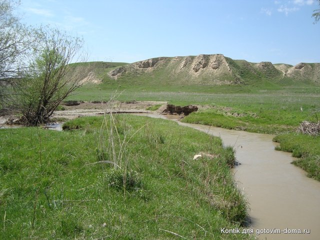 DSC05124.JPG