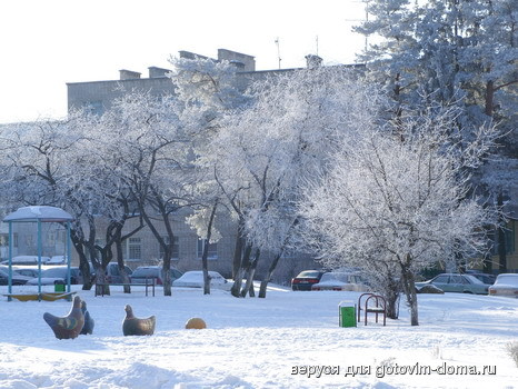 SS850308_resize.JPG