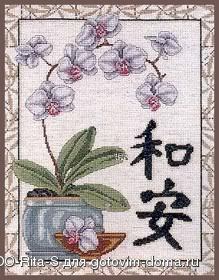 orchid_e.jpg