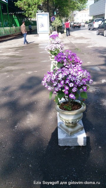 DSC_6618.JPG