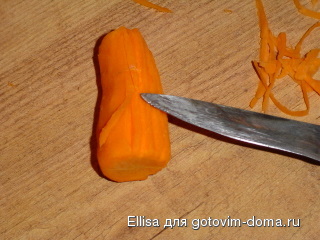 511.jpg