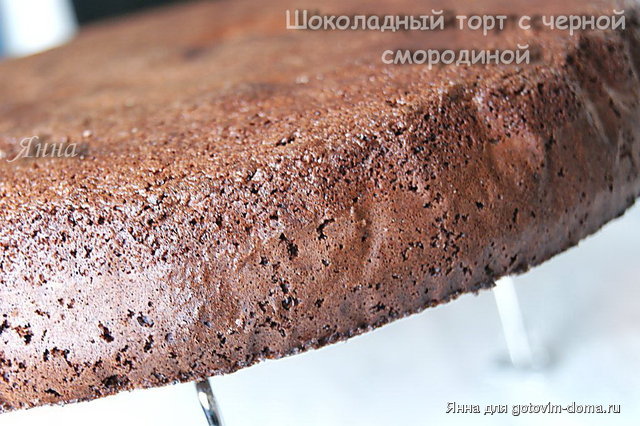 Шоколадный торт с черной смородиной3.jpg