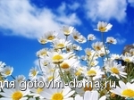 xazx82znam6oyc5r64i5ar50gs6ut2fu_4.jpg