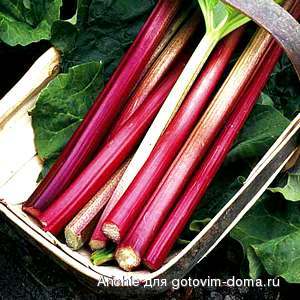 rhubarb.jpg