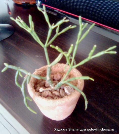 20100609_0204.jpg