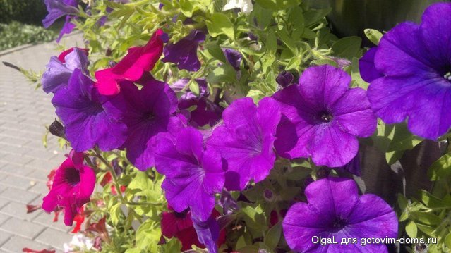 2013-06-08-845.jpg