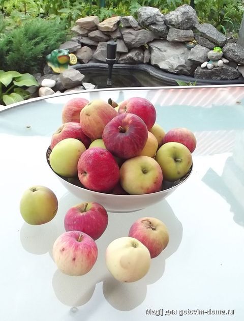 DSCF3956.JPG