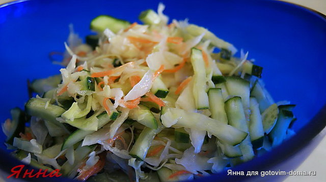салат из капусты,огурцов и морковки.jpg