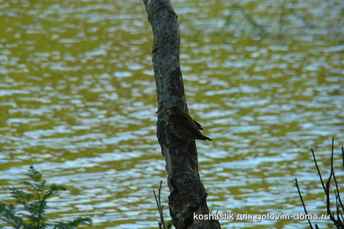 DSC00830.jpg