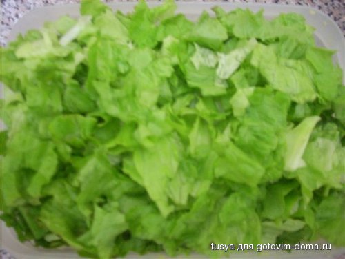 DSCN1555.JPG