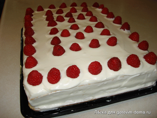 Picture-1607.gif