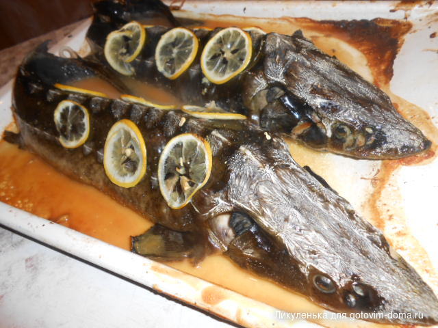 DSCN3742.JPG