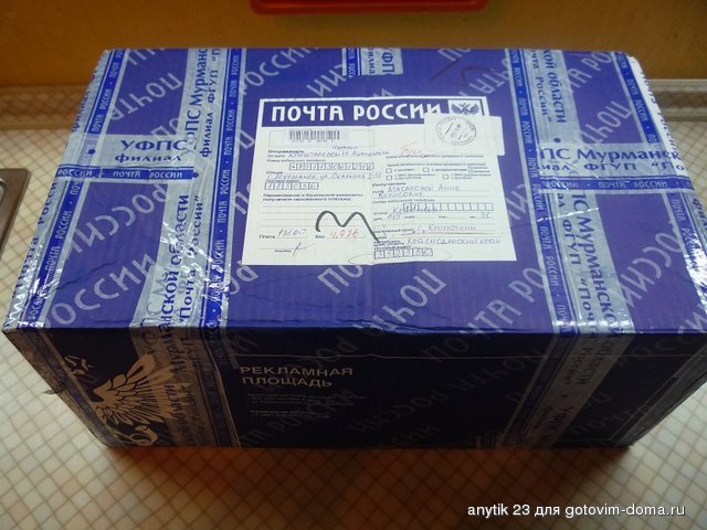 P1140643.JPG