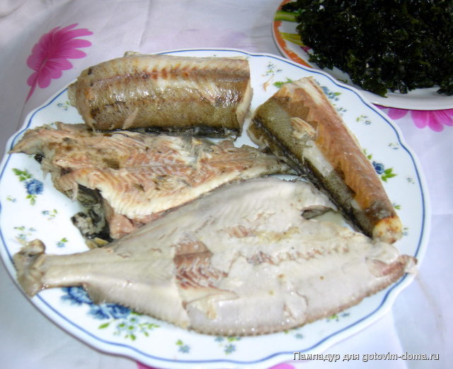 DSCN0176.JPG