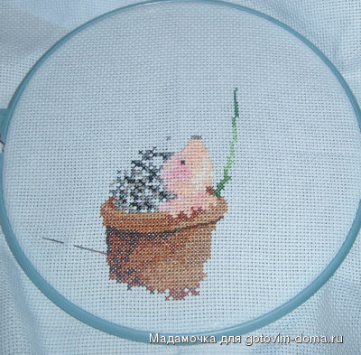 ёжик шерри 5 декабря 2010.JPG