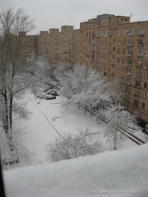 IMG_8257.jpg