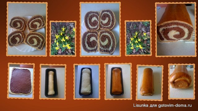 Collage81.jpg