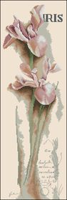 Lanarte-Iris.jpg
