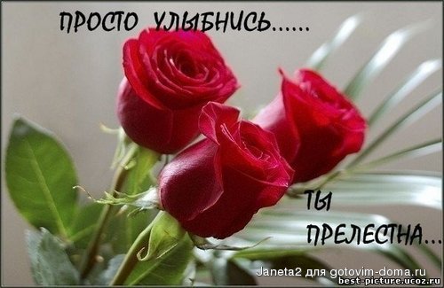 140243631.jpg