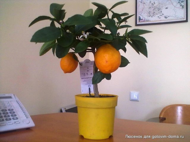 04042013108.jpg