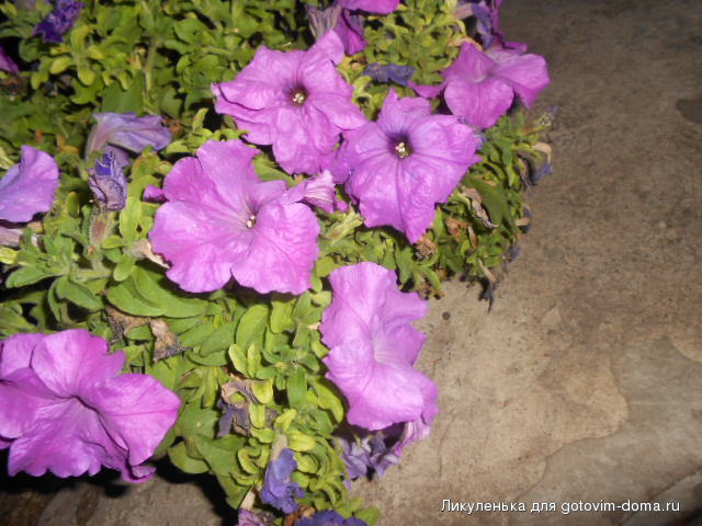 DSCN1199.JPG