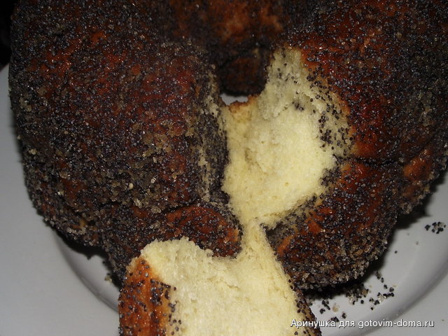 DSCF8359.jpg