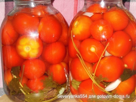 DSCN1781.JPG