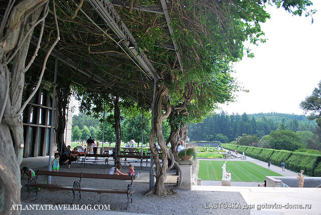 biltmore-estate-015.jpg