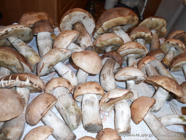 DSCN2169.jpg