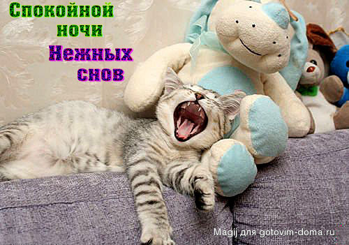 спокойной ночи.jpg