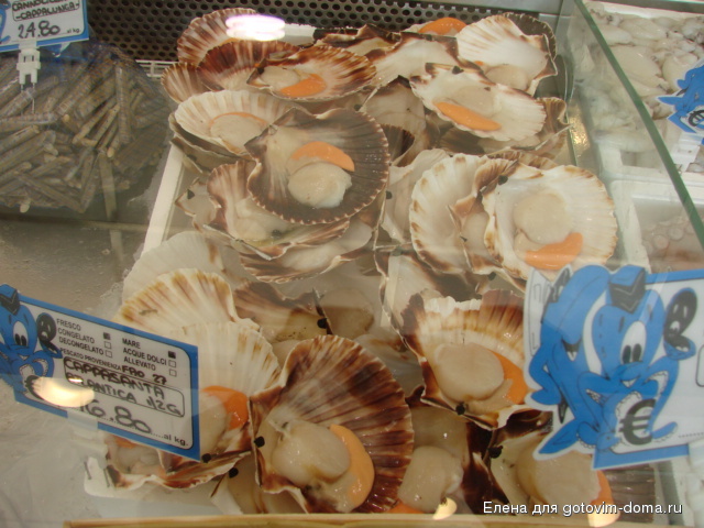 DSC01289.JPG