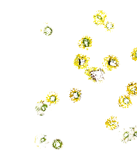 5af3e30d3fdc[1].gif